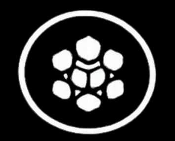 IT services
